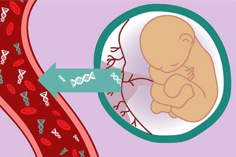 XÉT NGHIỆM NIPT, DOUBLE TEST VÀ TRIPLE TEST